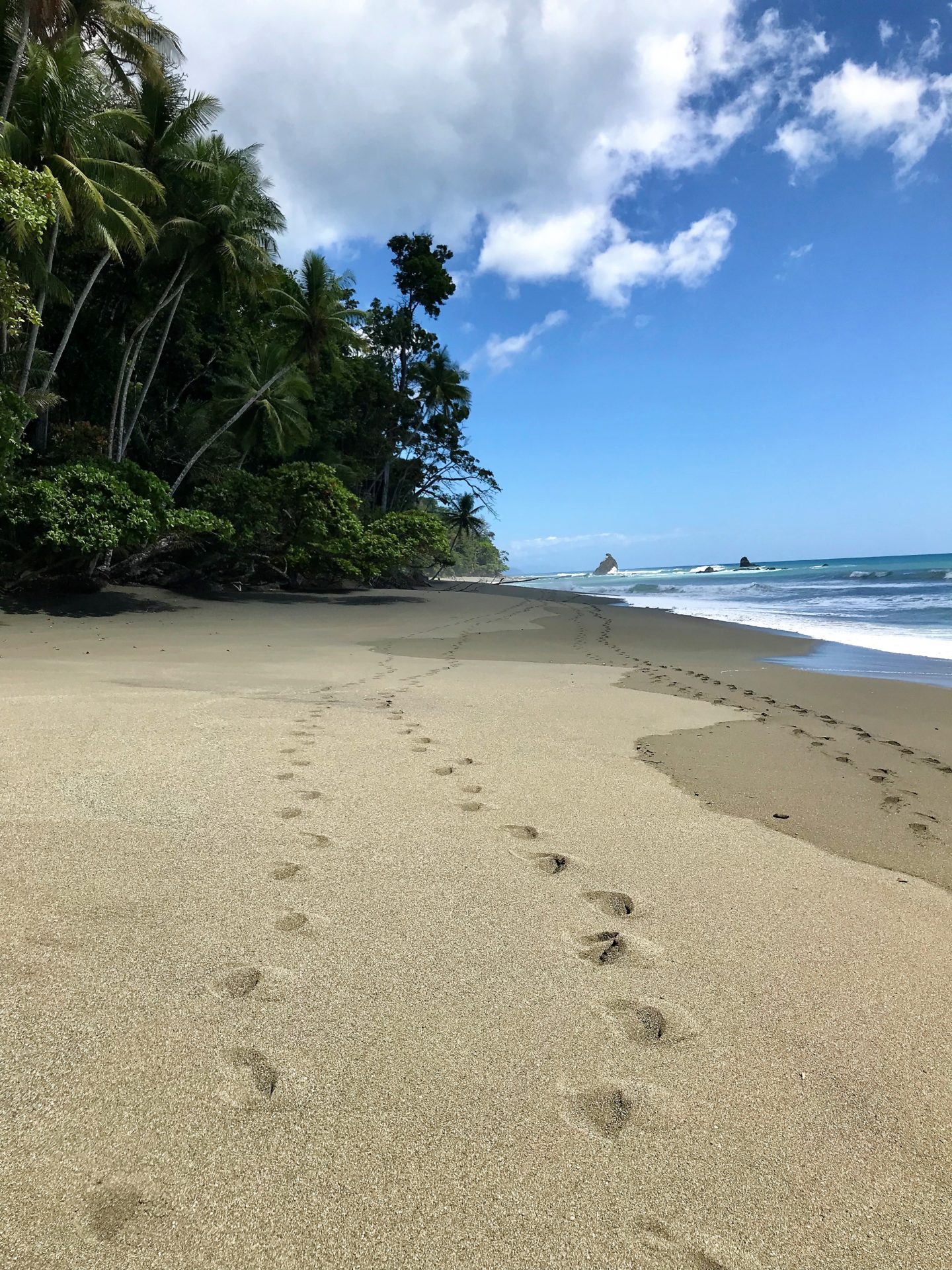 Footsteps on the beach. Corcovado National Park, Costa Rica.